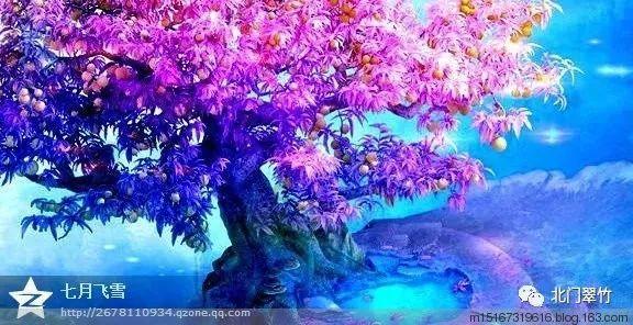 内外皆可深洁净 2499元起石头智能洗地机A20系列开启首销